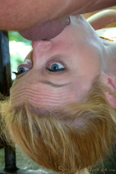 Покорные шлюшки Хейзел Гипнотик и Дарлинг наслаждаются тем, что их связыва 12