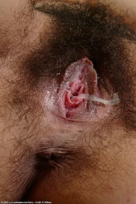 Любительница Лин стягивает свои белые трусики, чтобы обнажить волосатый куст