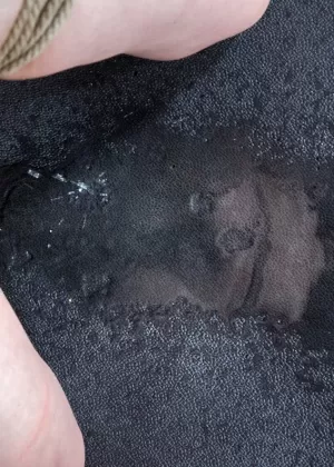 Азиатка щеголяет верблюжьим носком перед тем, как заняться дилдо и пописать