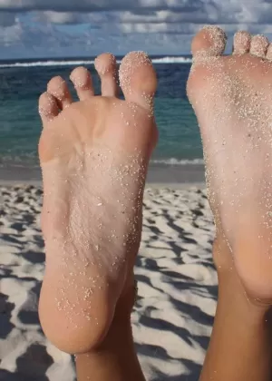 Потрясающая 18-Лисья соль