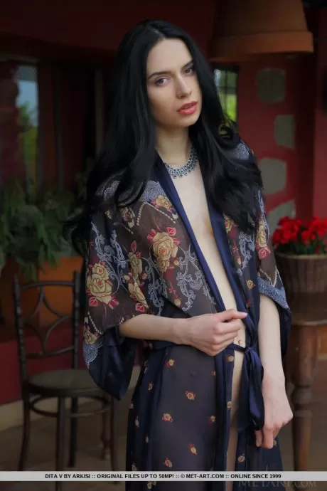 Красивая темноволосая девушка Дита Ви демонстрирует свою идеальную киску в обнаже 9